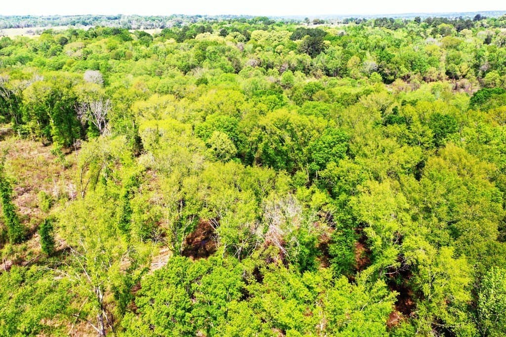 22.5 acres in ANDERSON County - photo 8