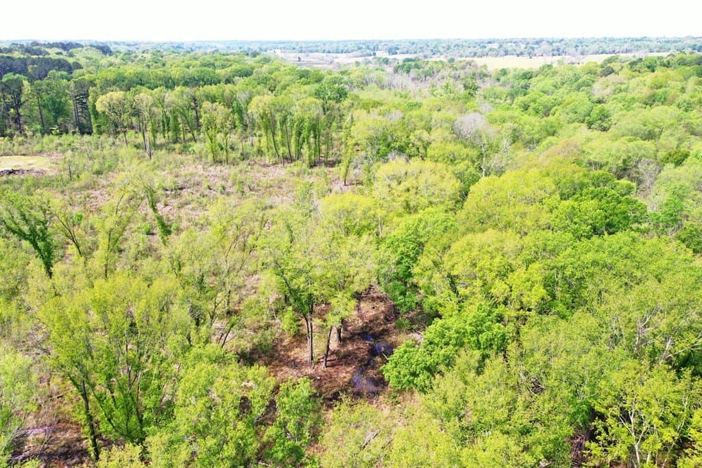 22.5 acres in ANDERSON County - photo 2