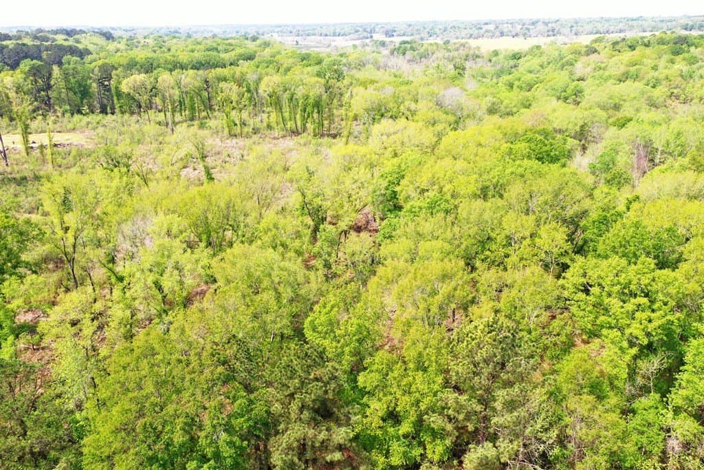 22.5 acres in ANDERSON County - photo 3