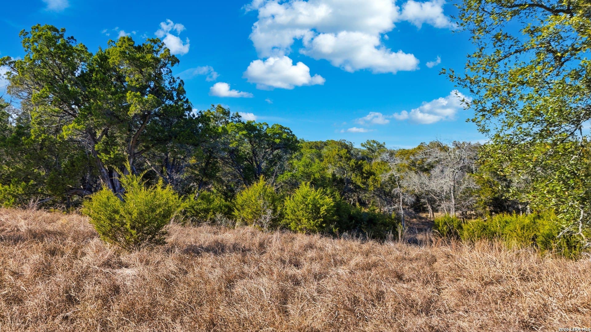0.89 acres in Kendall County - photo 3