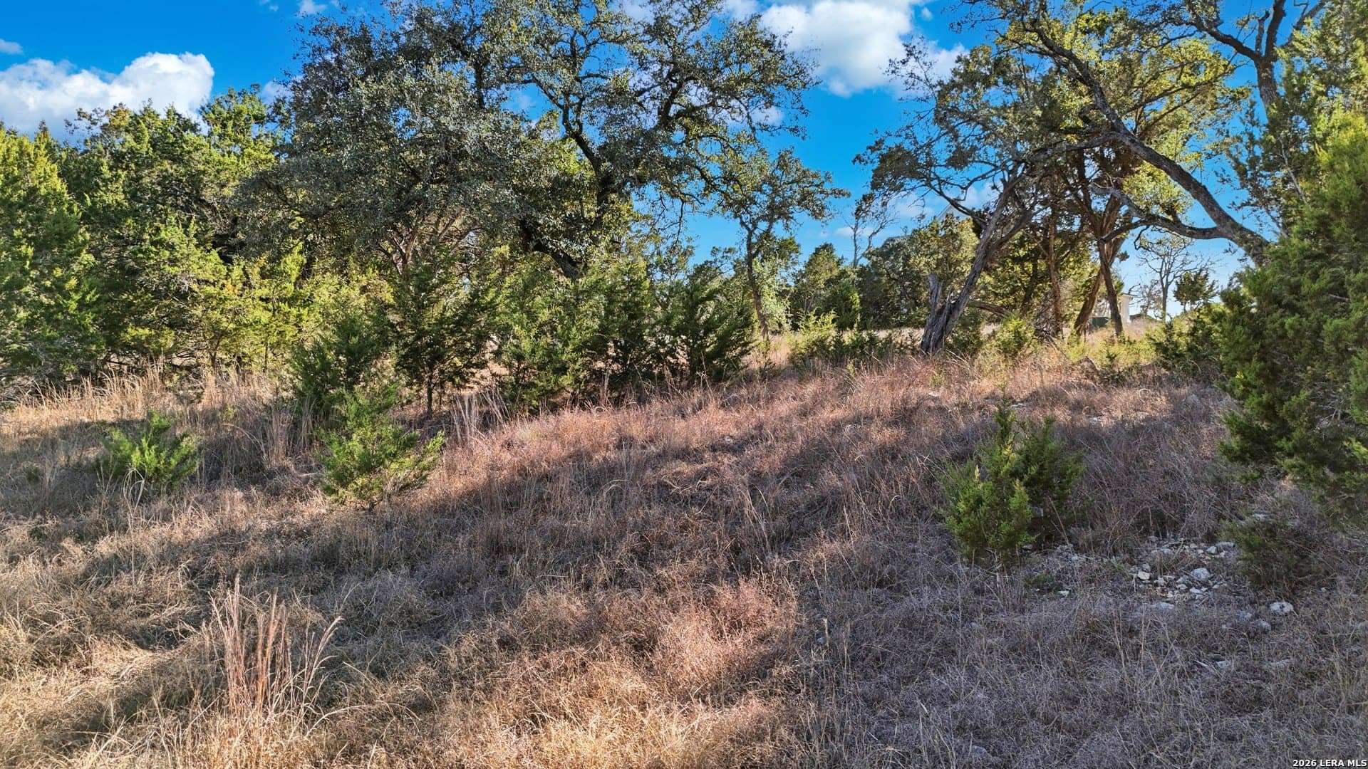 0.89 acres in Kendall County - photo 4