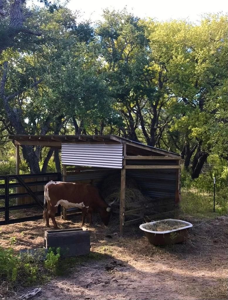 10.2 acres in Texas County - photo 6
