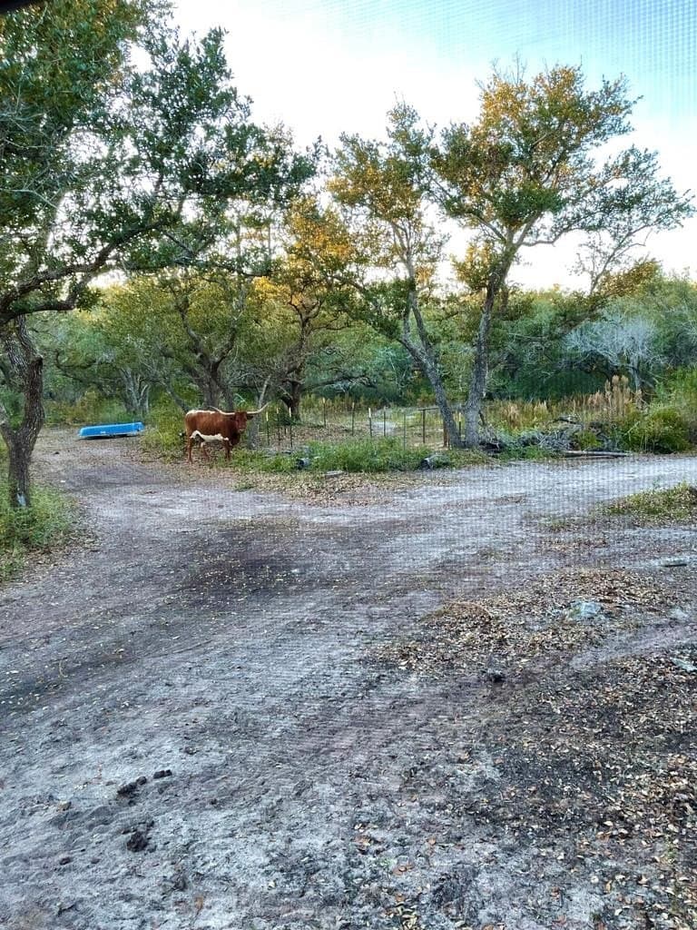 10.2 acres in Texas County - photo 14