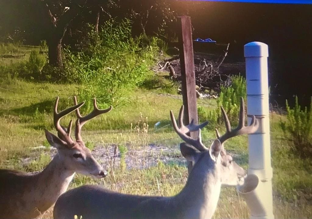 10.2 acres in Texas County - photo 13