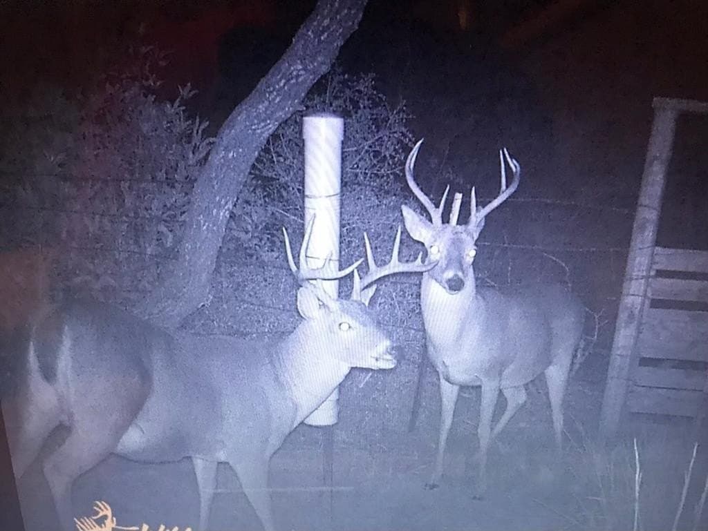 10.2 acres in Texas County - photo 15