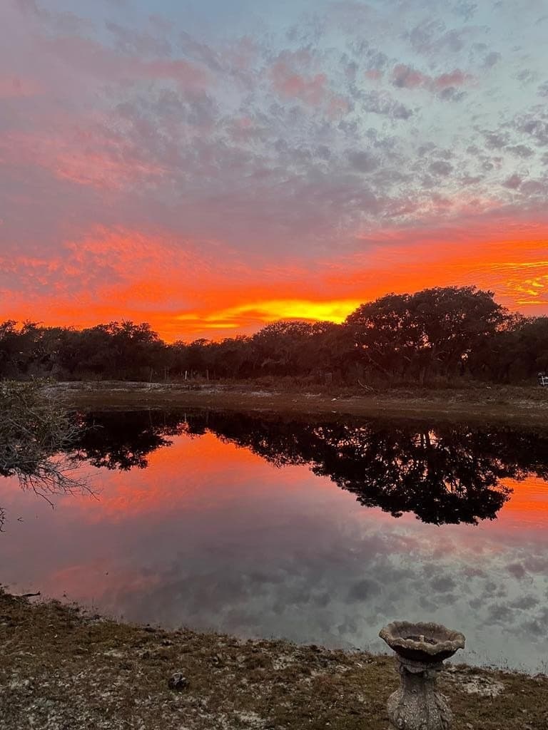 10.2 acres in Texas County - photo 9