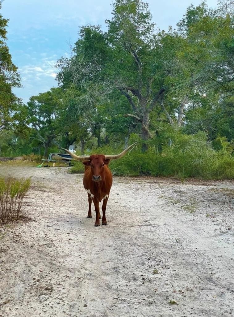 10.2 acres in Texas County - photo 7