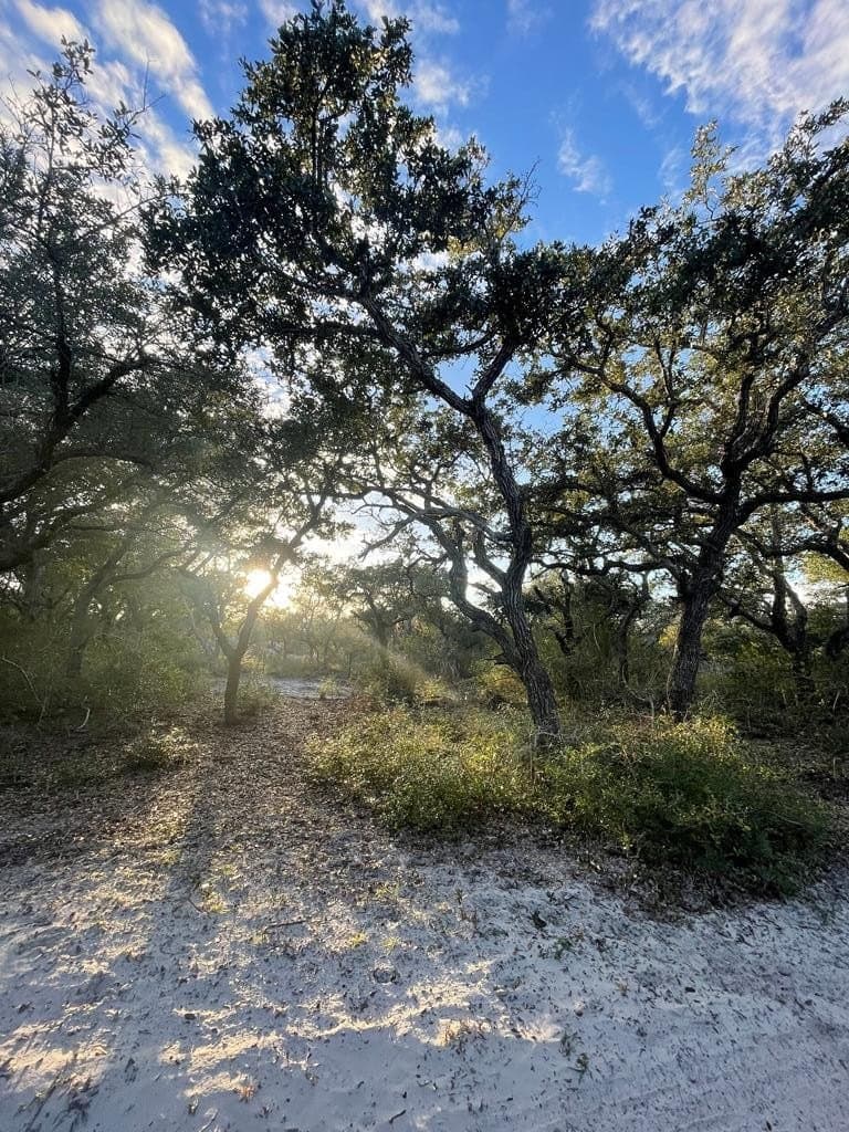 10.2 acres in Texas County - photo 11