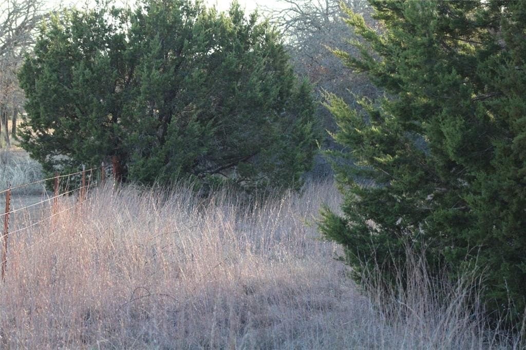 7.6 acres in Jack County - photo 6