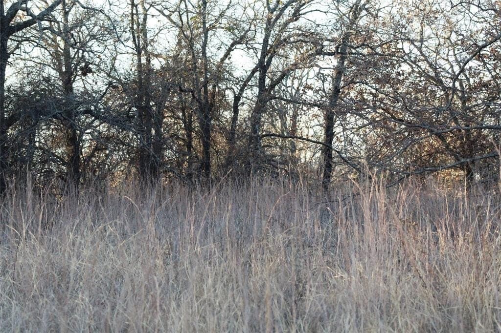 7.6 acres in Jack County - photo 7