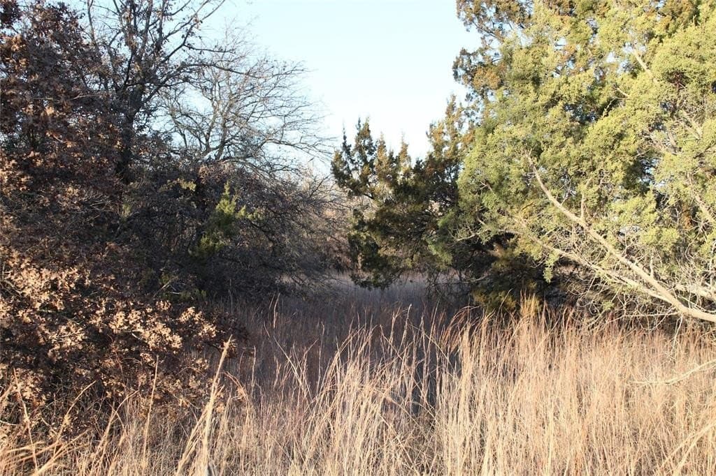 7.6 acres in Jack County - photo 13
