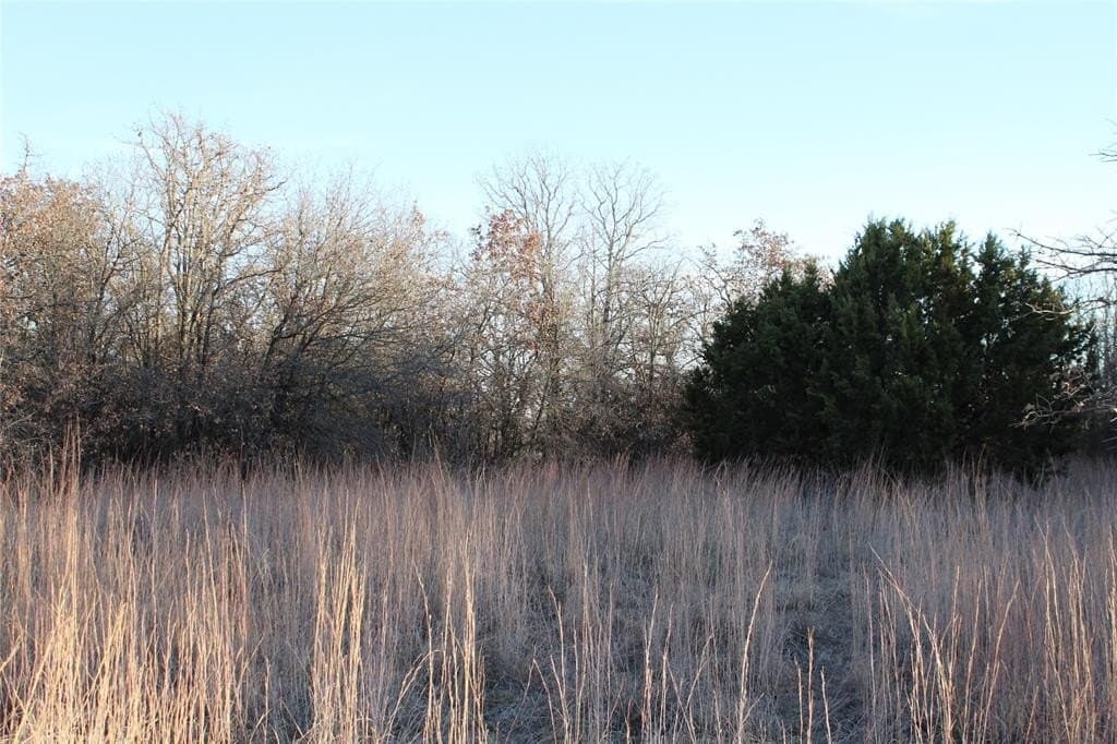 7.6 acres in Jack County - photo 8