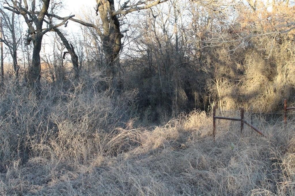 7.6 acres in Jack County - photo 16