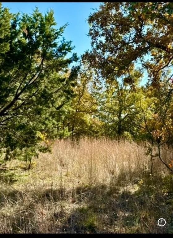 7.6 acres in Jack County - photo 3