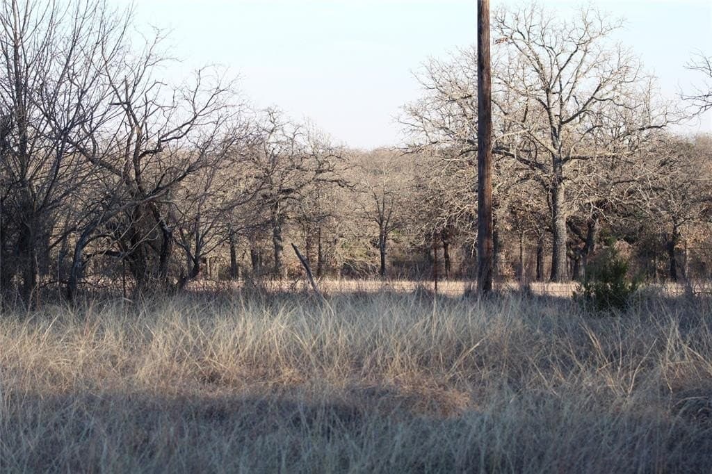 7.6 acres in Jack County - photo 5