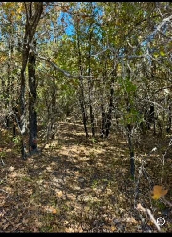 7.6 acres in Jack County - photo 17