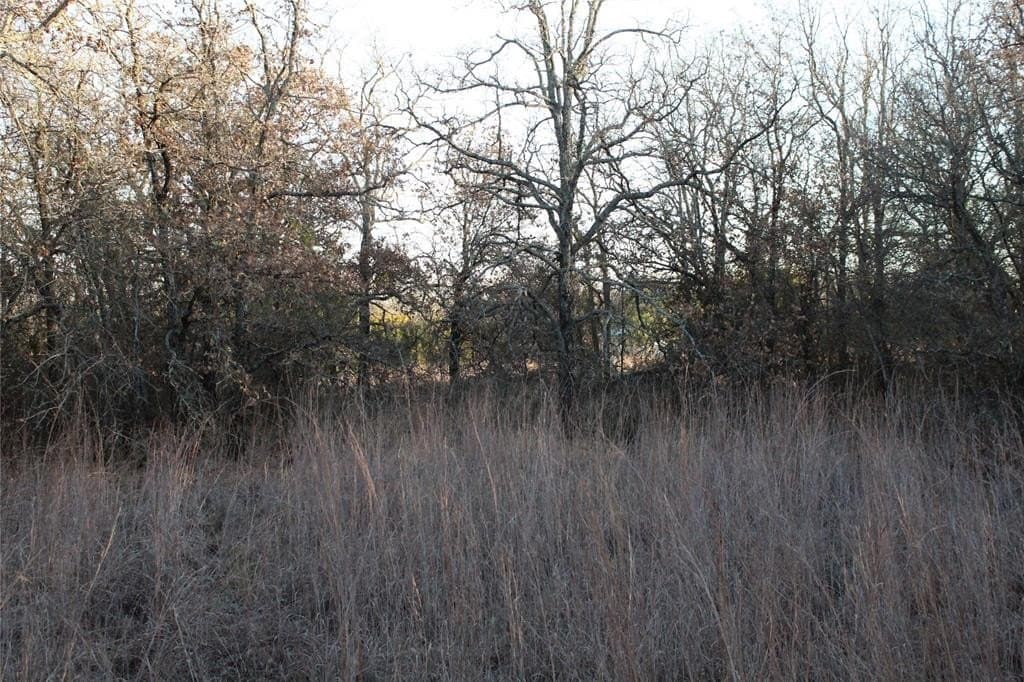 7.6 acres in Jack County - photo 9