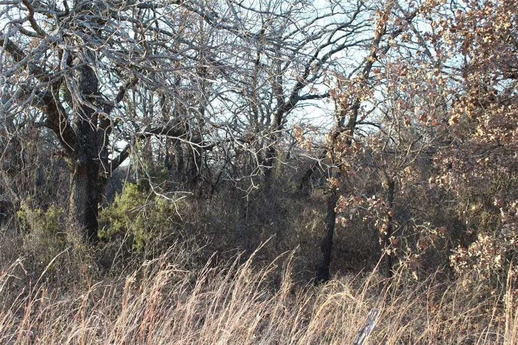 7.6 acres in Jack County - photo 12