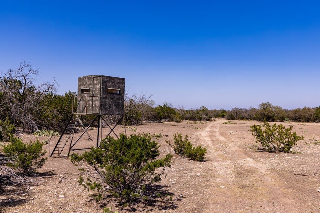 199 acres in Sutton County - photo 21