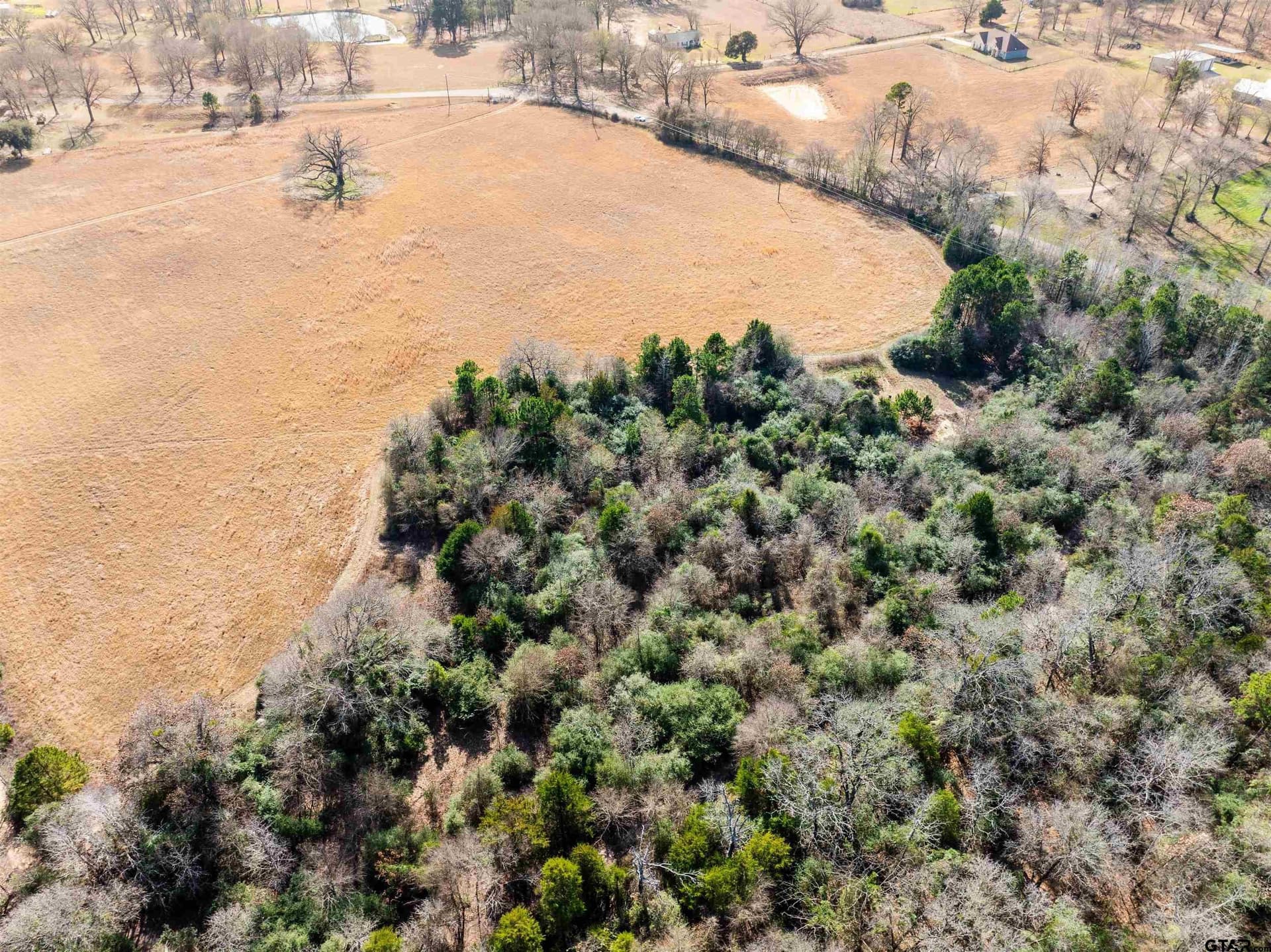 10 acres in Anderson County - photo 7