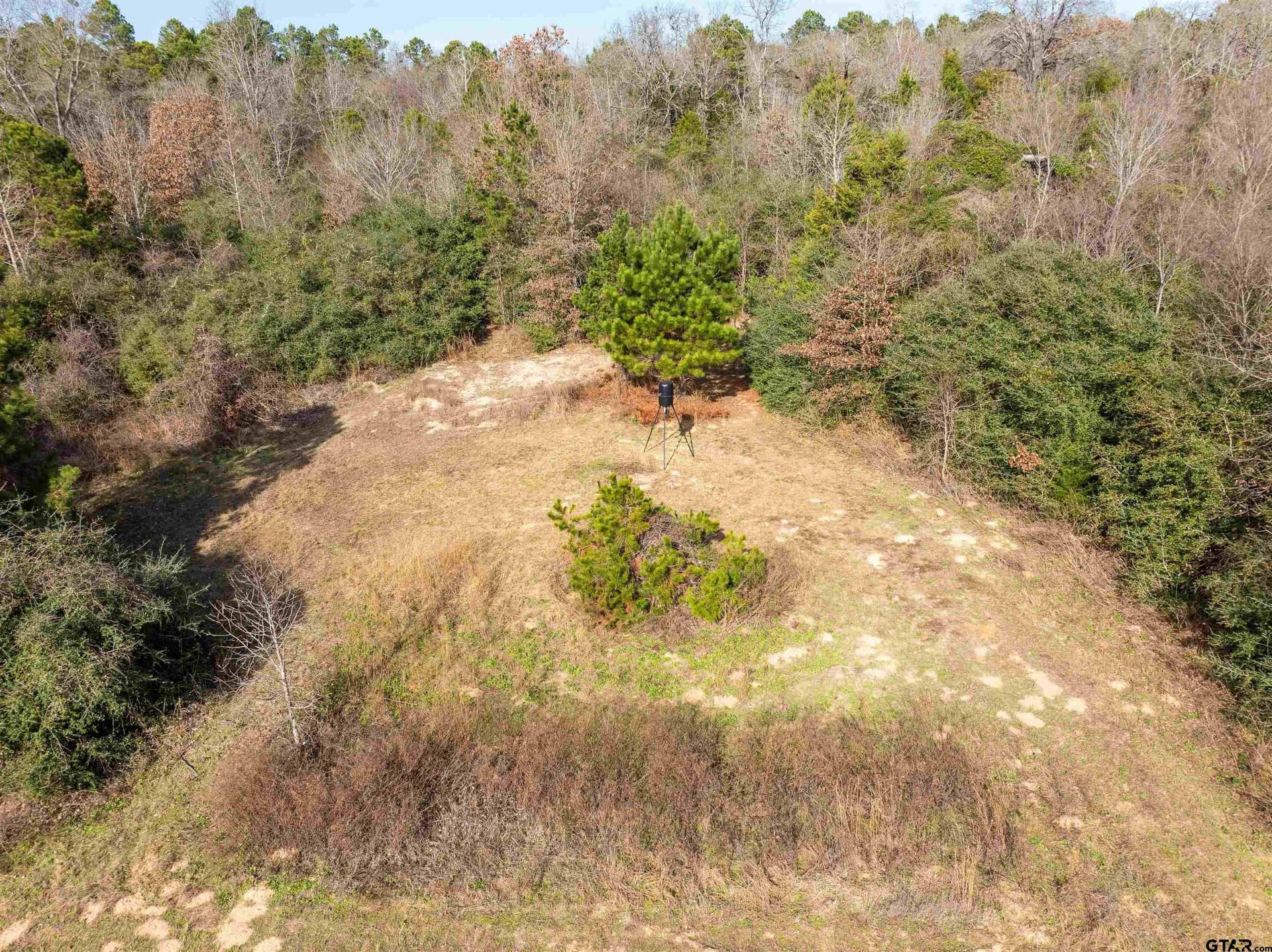 10 acres in Anderson County - photo 8