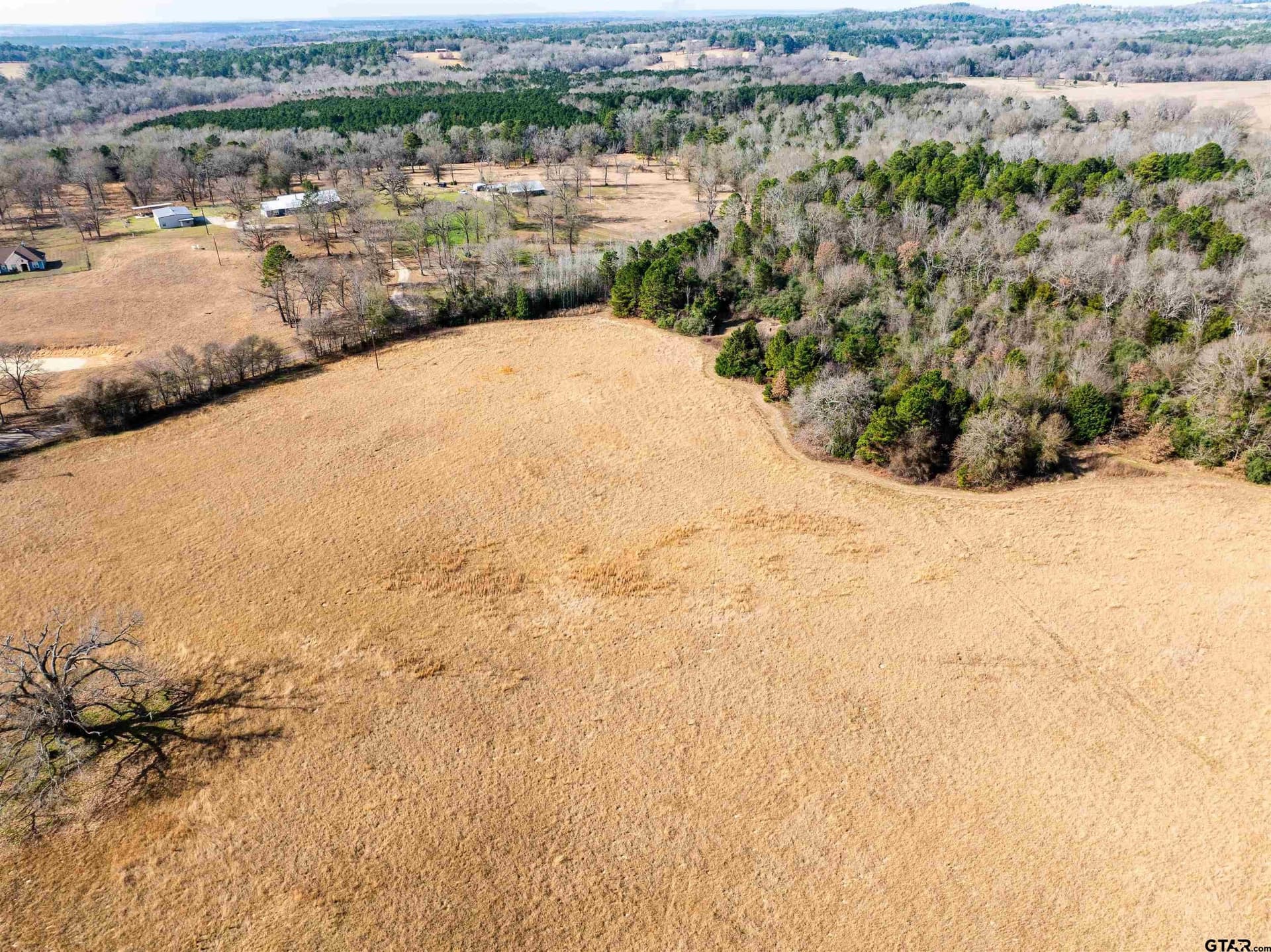 10 acres in Anderson County - photo 6