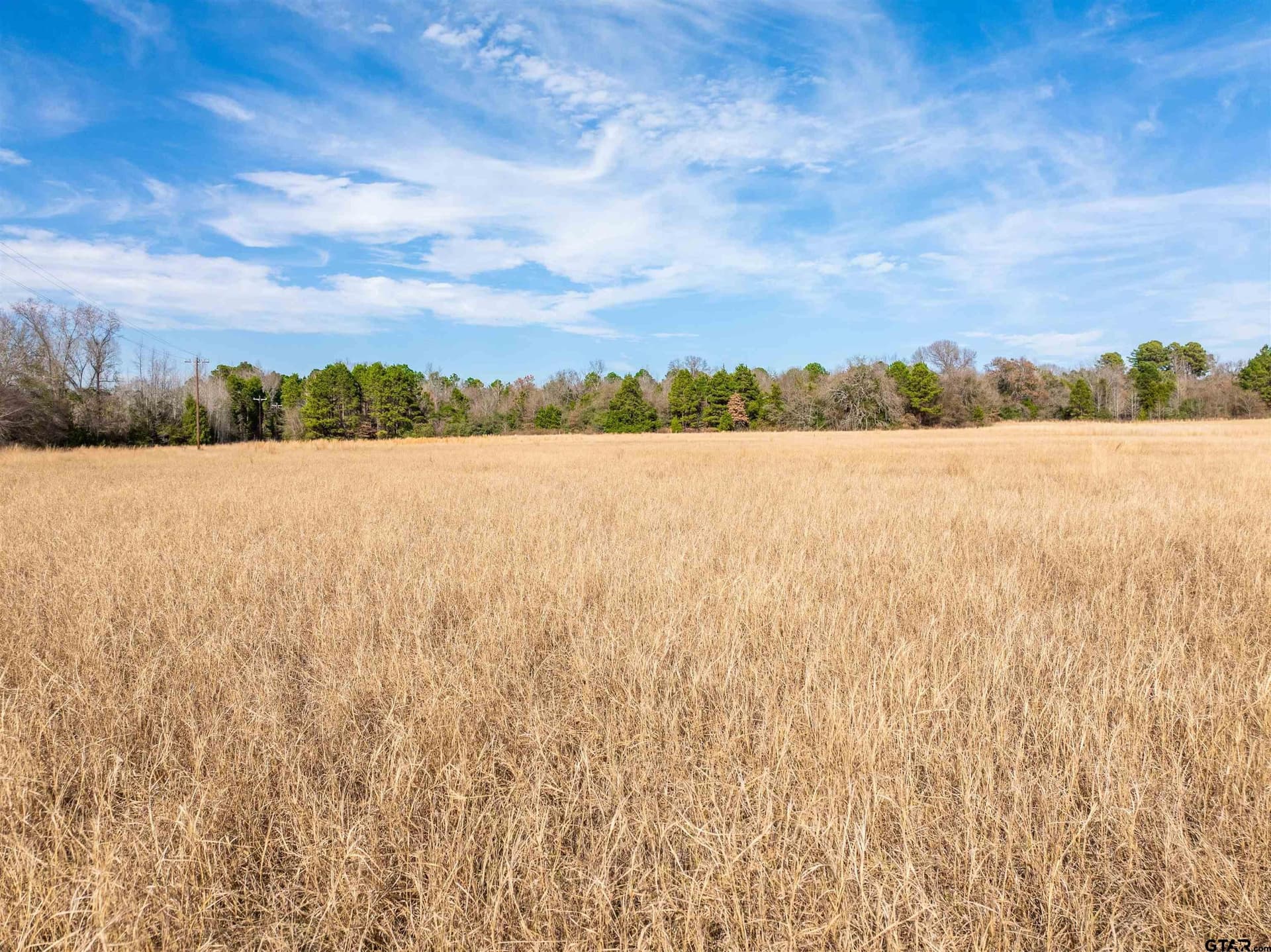 10 acres in Anderson County - photo 11