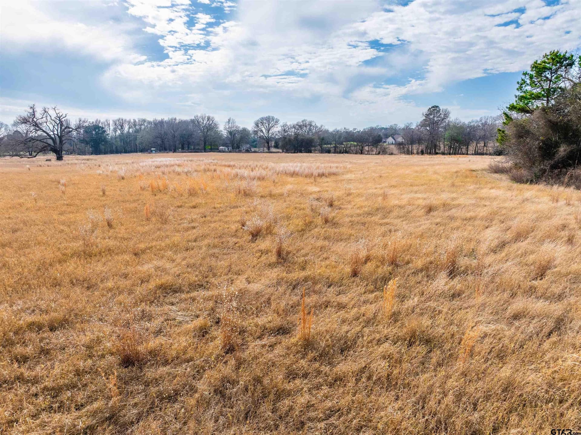 10 acres in Anderson County - photo 13