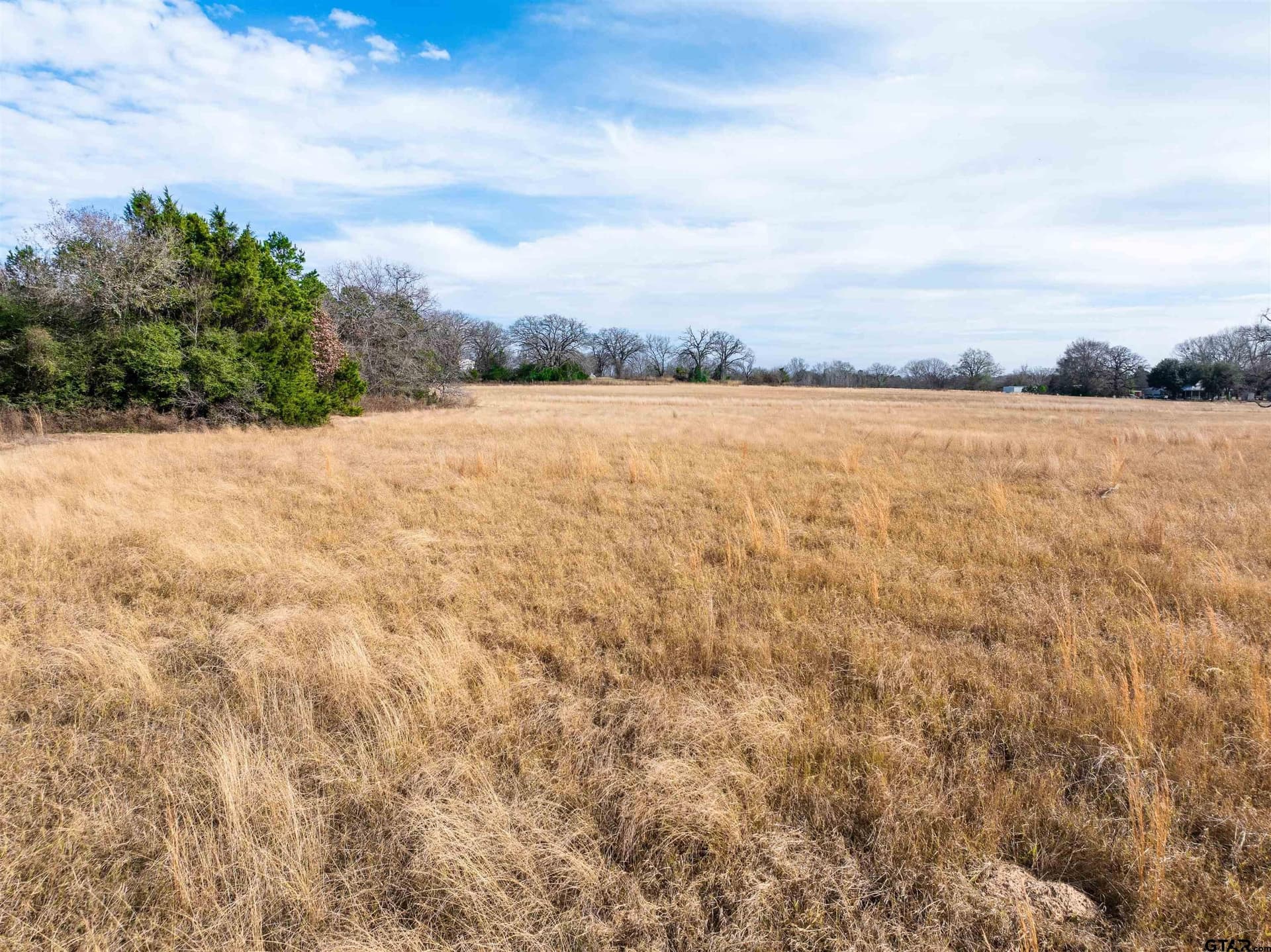 10 acres in Anderson County - photo 12