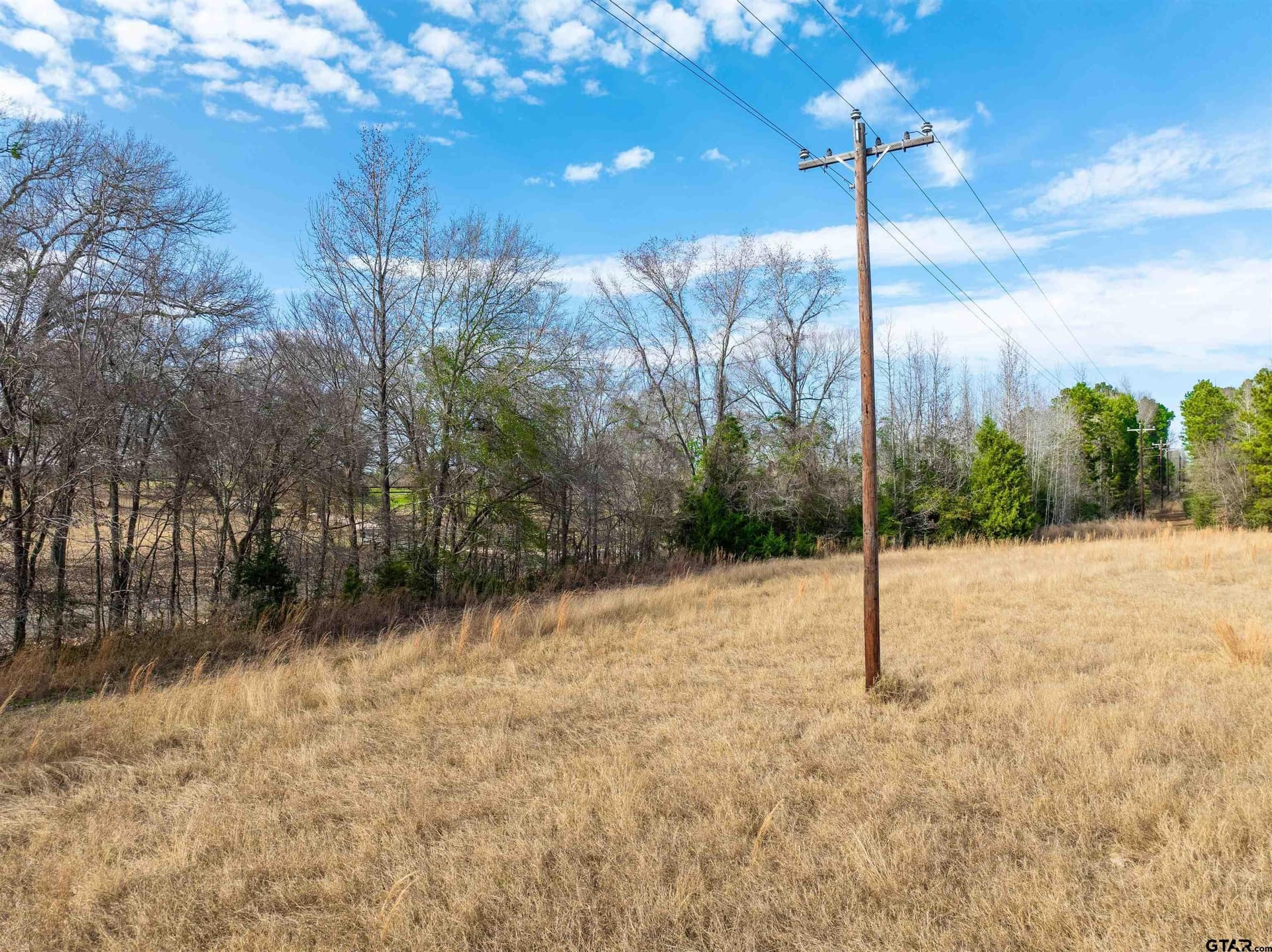 10 acres in Anderson County - photo 14