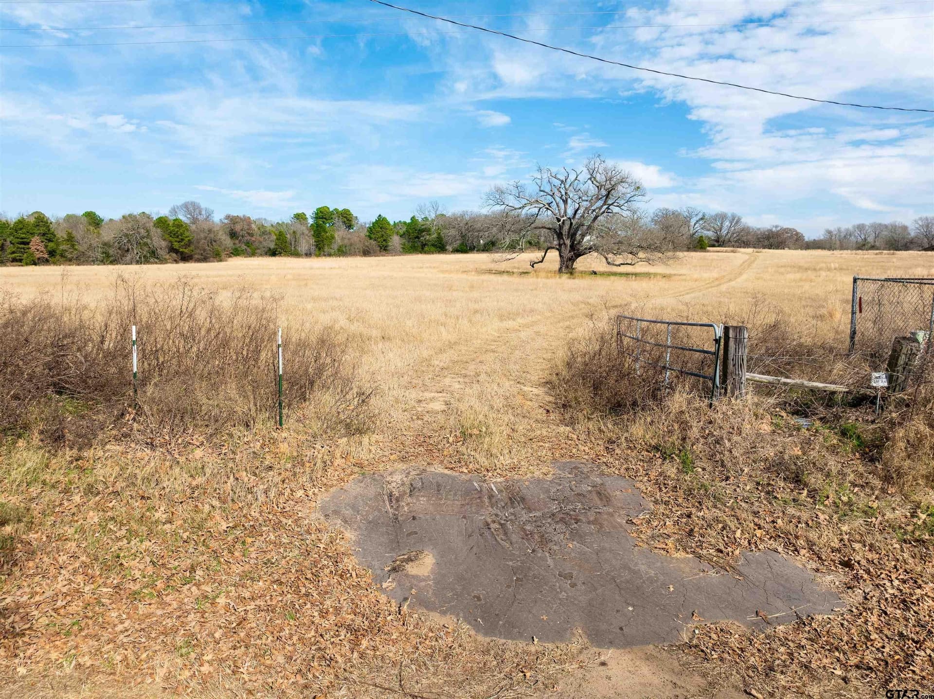 10 acres in Anderson County - photo 10