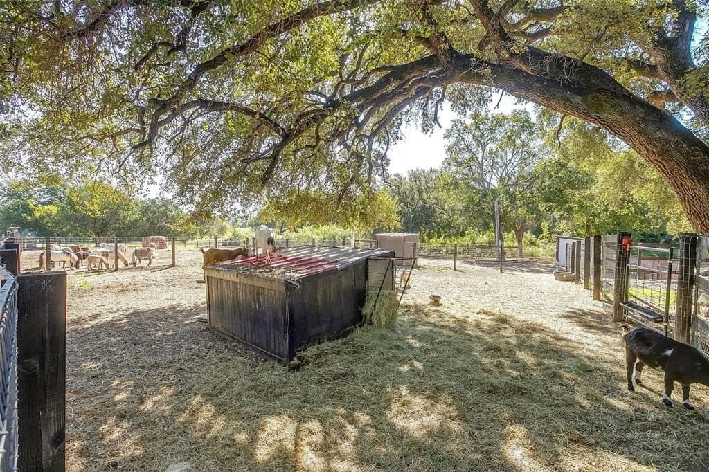 29.9 acres in Somervell County - photo 26