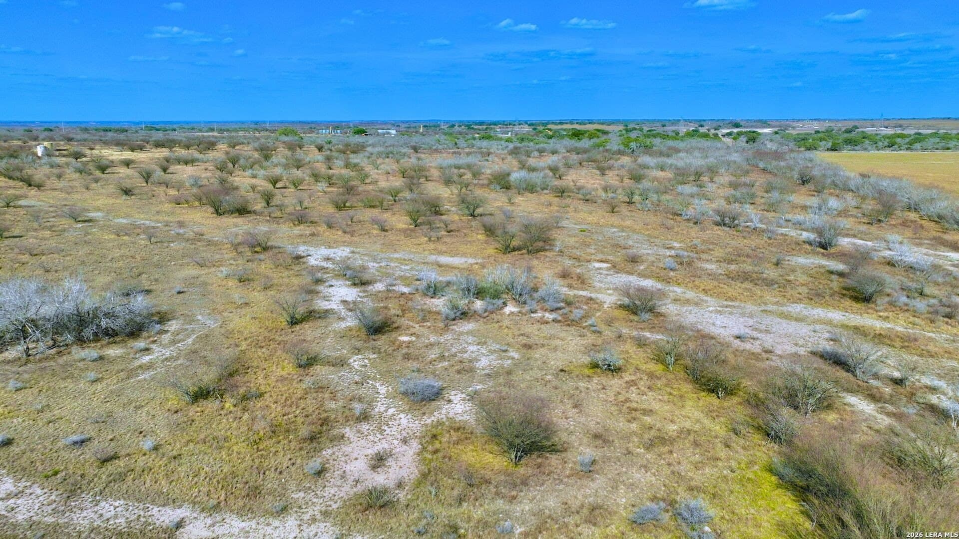13 acres in Karnes County - photo 4