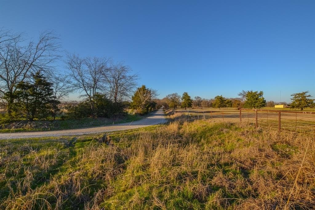 480 acres in Rains County - photo 7