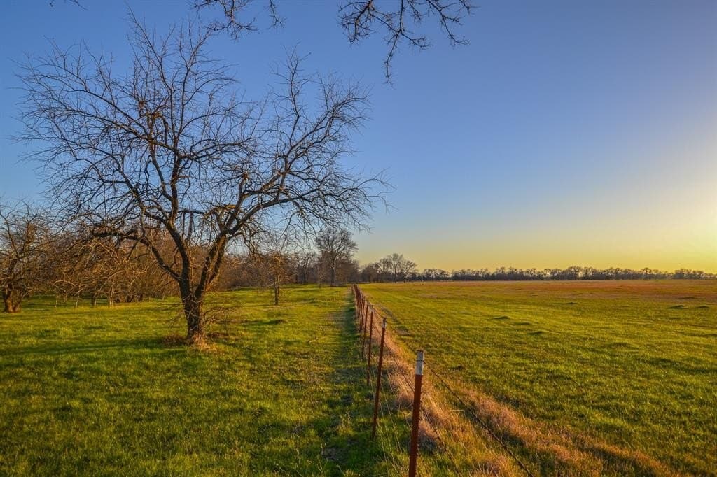 480 acres in Rains County - photo 4