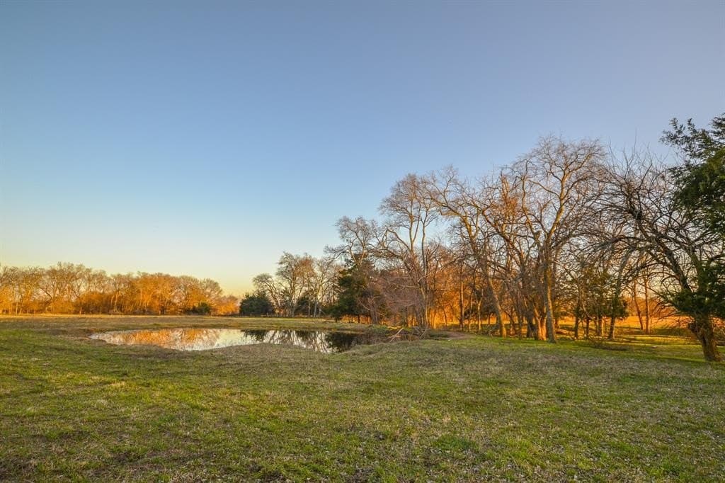 480 acres in Rains County - photo 15