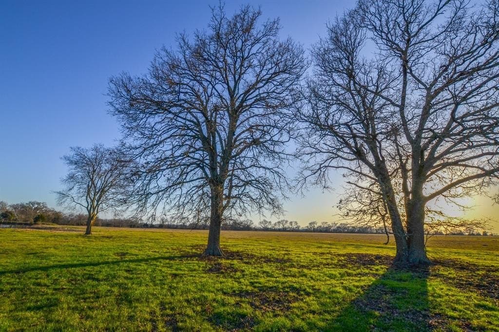 480 acres in Rains County - photo 11