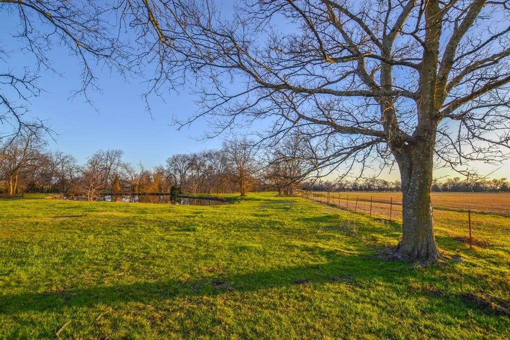 480 acres in Rains County - photo 20