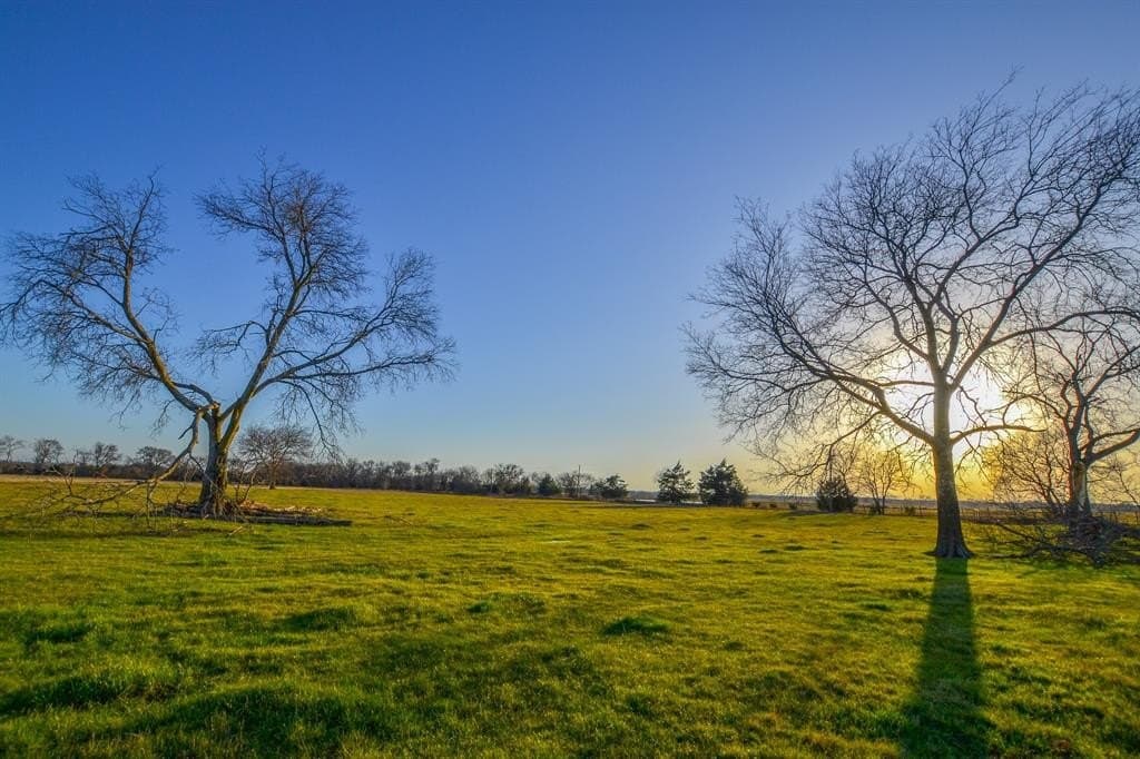 480 acres in Rains County - photo 17