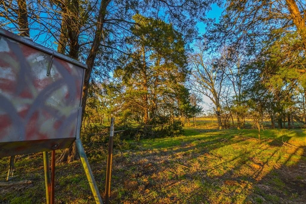 480 acres in Rains County - photo 14