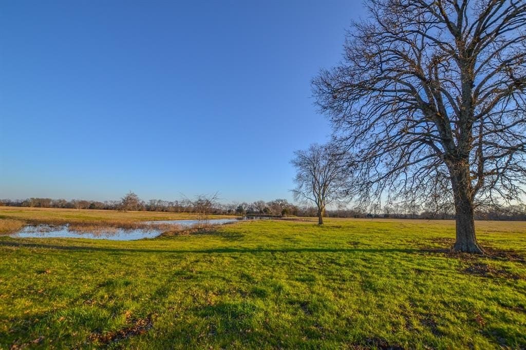480 acres in Rains County - photo 12