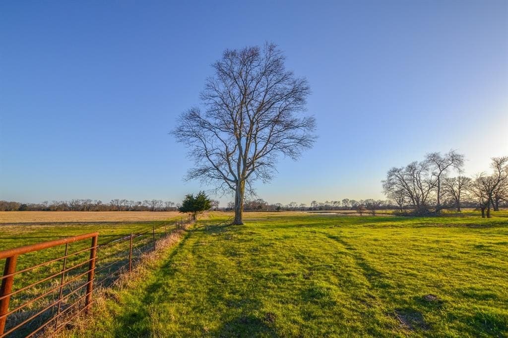 480 acres in Rains County - photo 2