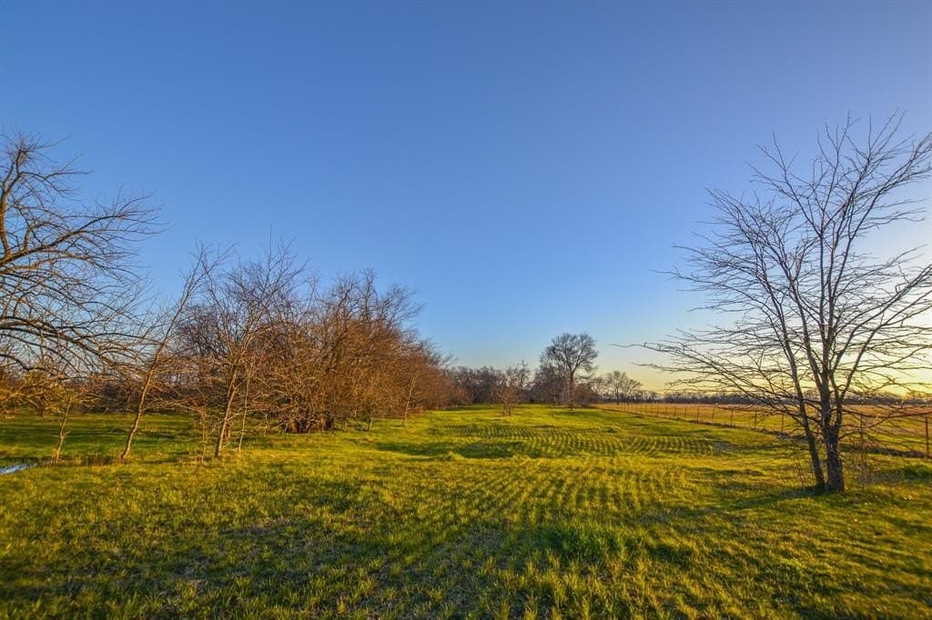 480 acres in Rains County - photo 5