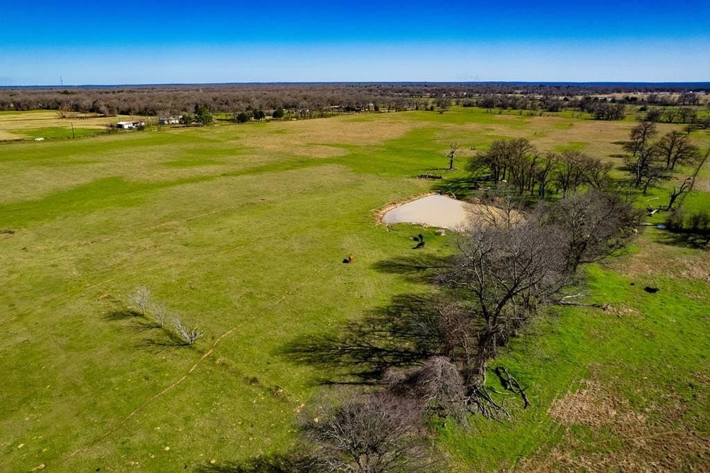 10.01 acres in Henderson County - photo 8