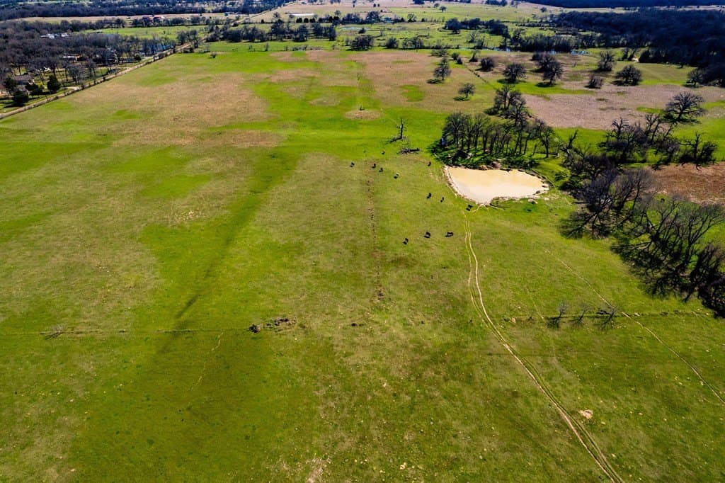 10.01 acres in Henderson County - photo 3