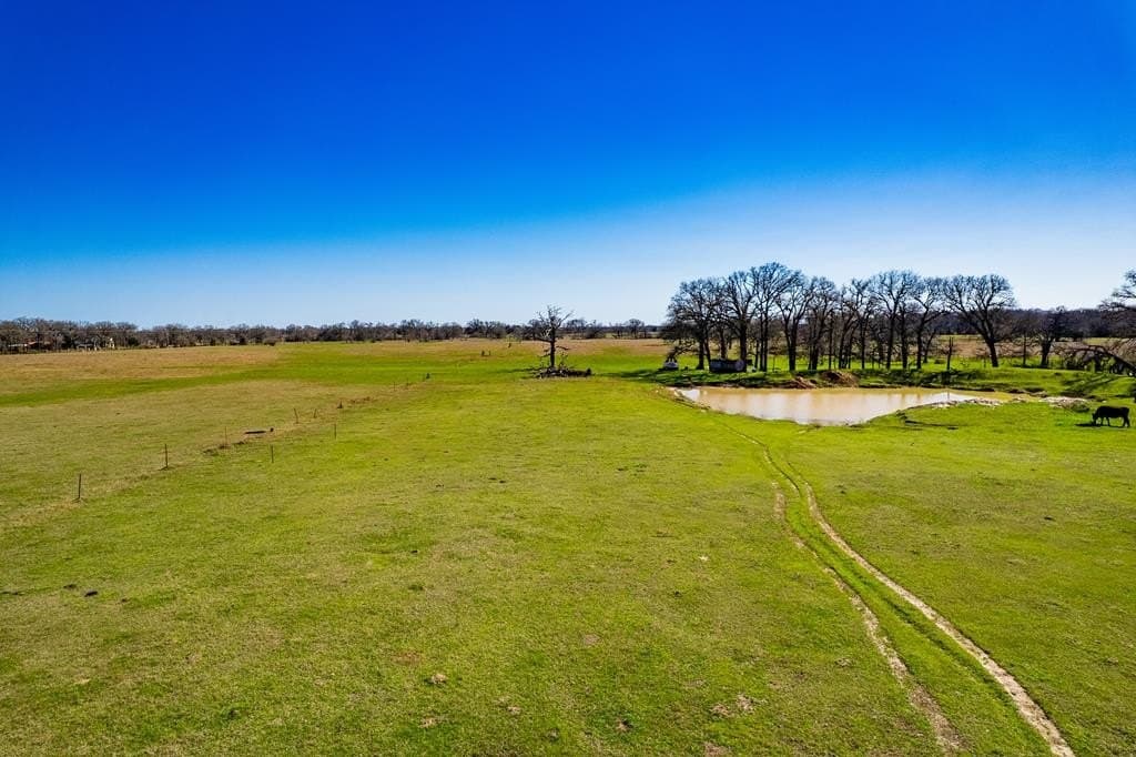 10.01 acres in Henderson County - photo 9
