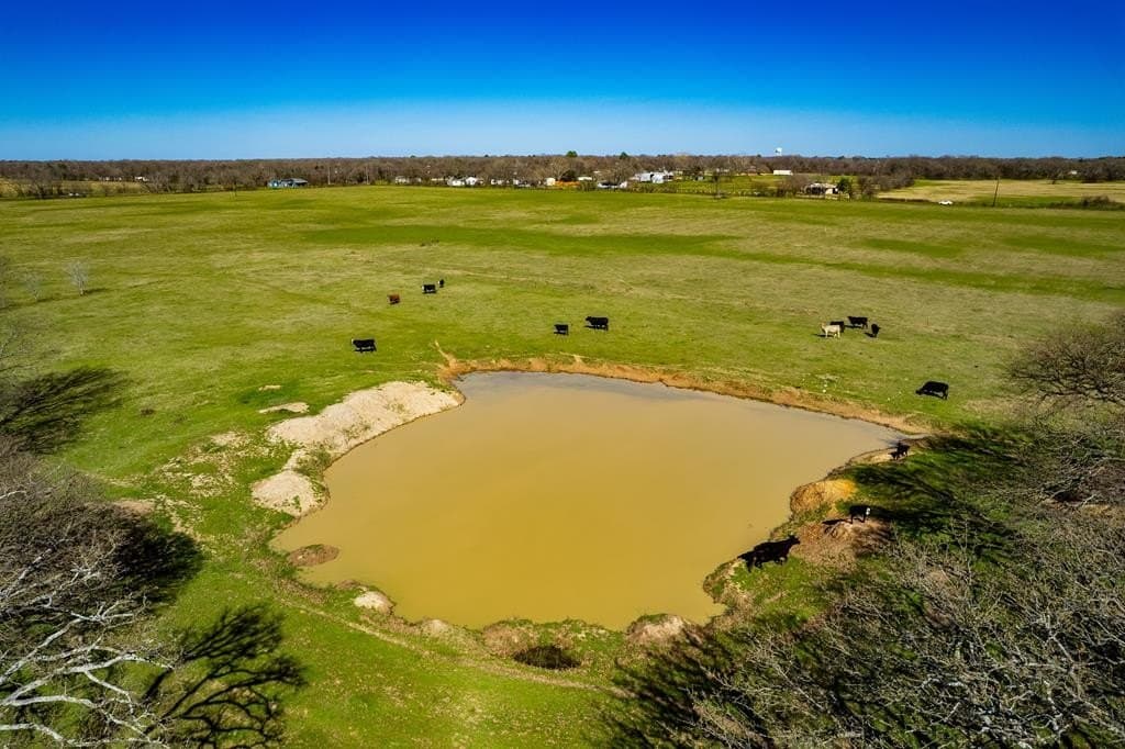 10.01 acres in Henderson County - photo 4