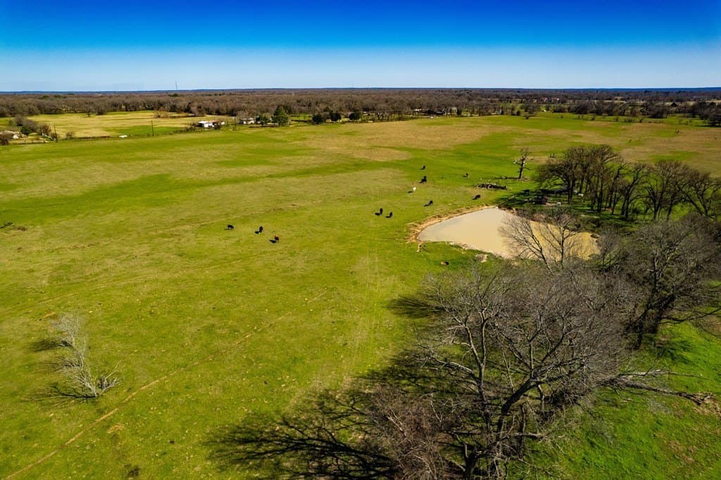 10.01 acres in Henderson County - photo 2
