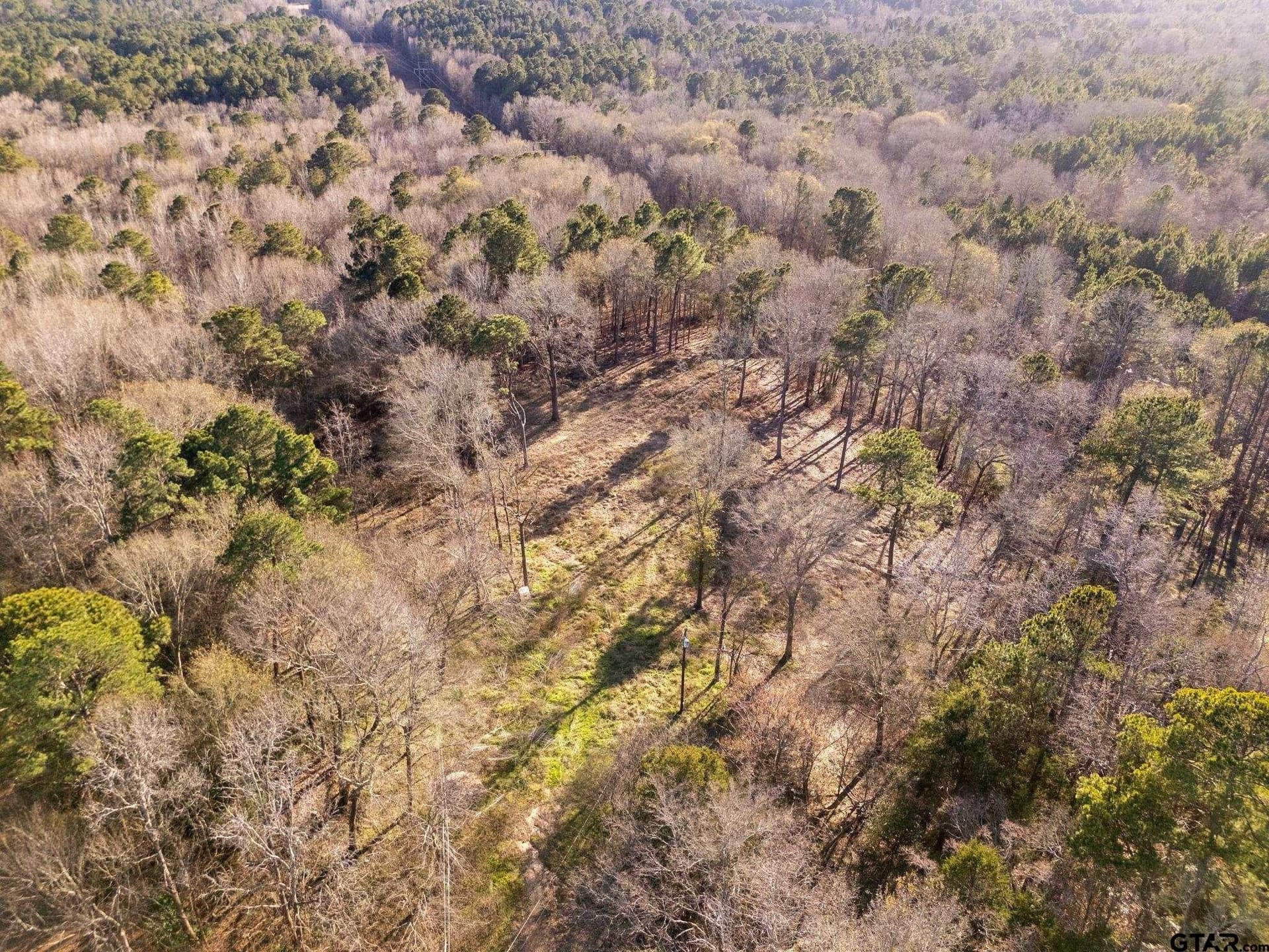 968 County Road 3908