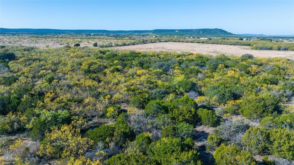 26 acres in Taylor County - photo 12
